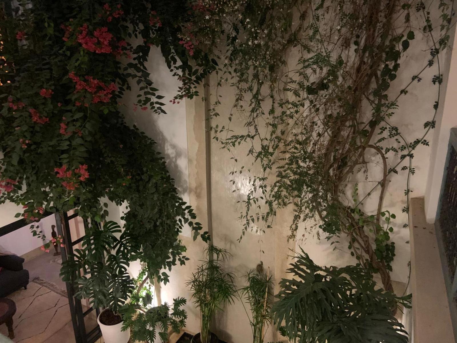 Le Petit Pacha Otel Marakeş Dış mekan fotoğraf